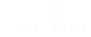 Curative Mushrooms Shop Coupons and Promo Code