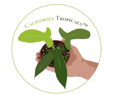 California Tropicals Coupons and Promo Code